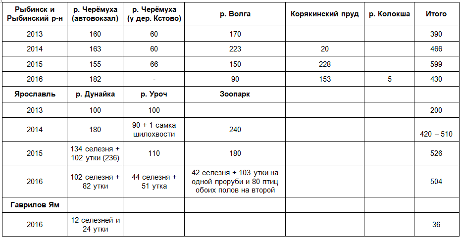 Подсчет птиц